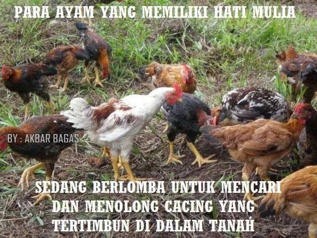 30 Meme lucu ini mengajarkan kita untuk selalu berpikiran positif 30 Meme lucu ini mengajarkan kita untuk selalu berpikiran positif