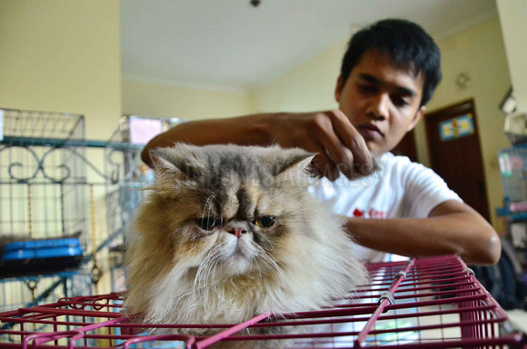 15 Barang dan jasa ini biasanya laku keras saat lebaran tiba