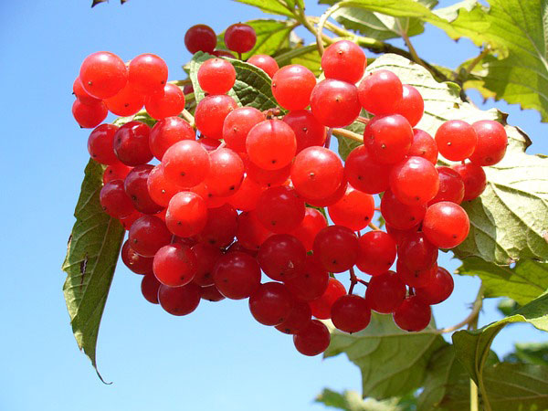 8 Jenis makanan ini malah bikin kamu mengantuk saat bekerja, hindari!