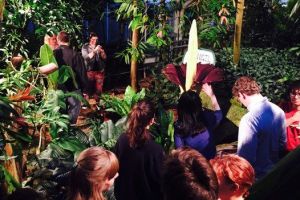 Ribuan warga Inggris terpikat bau busuk bunga bangkai Sumatera