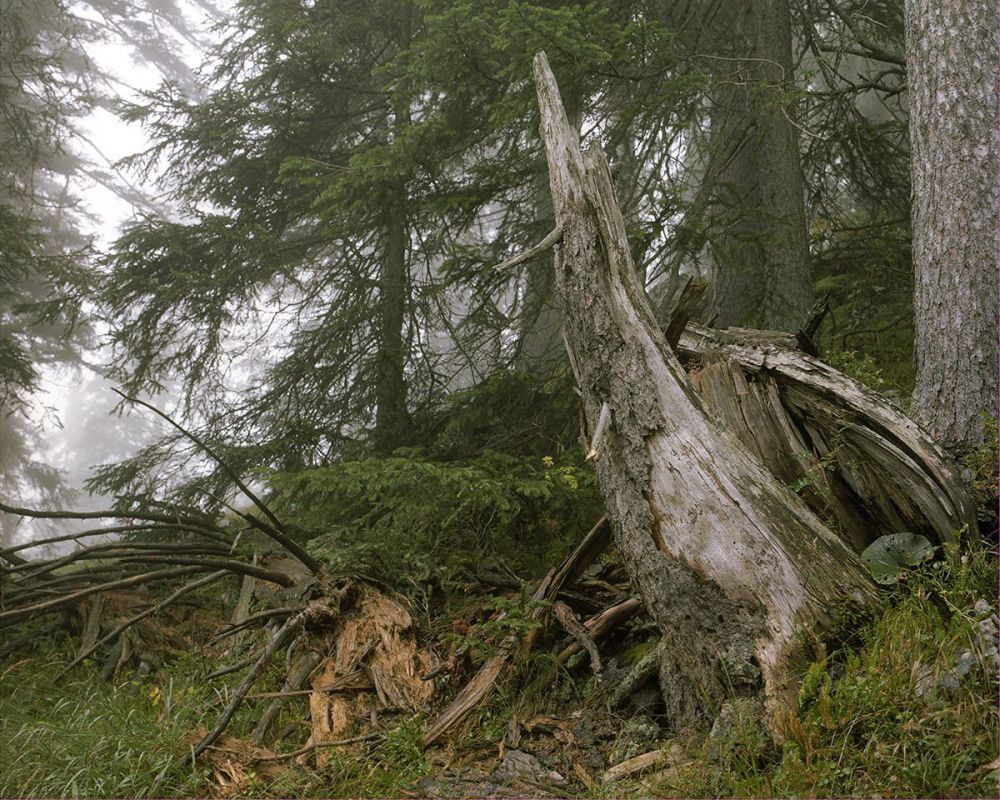 Tempat ini kelihatannya sangat sepi padahal ada yang mengintai, hiiii! Tempat ini kelihatannya sangat sepi padahal ada yang mengintai, hiiii!