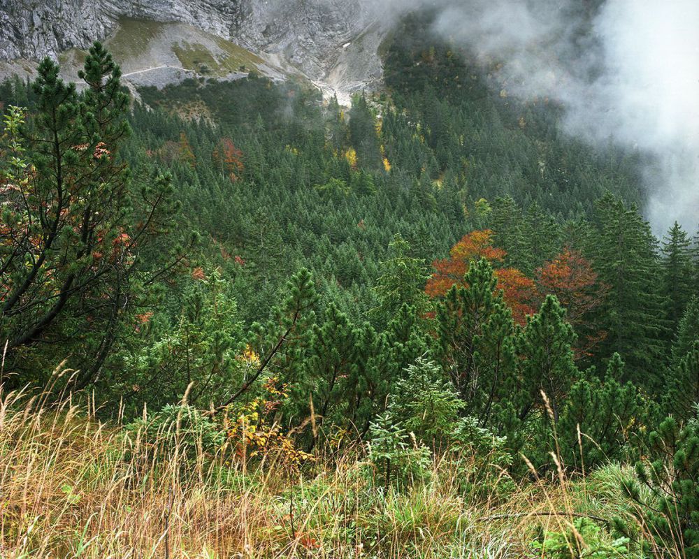 Tempat ini kelihatannya sangat sepi padahal ada yang mengintai, hiiii! Tempat ini kelihatannya sangat sepi padahal ada yang mengintai, hiiii!