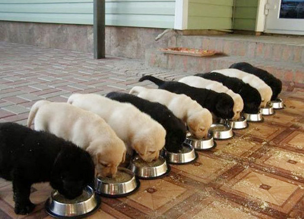 20 Gambar ini bakal bikin kamu geregetan karena kesalahan kecilnya! 20 Gambar ini bakal bikin kamu geregetan karena kesalahan kecilnya!