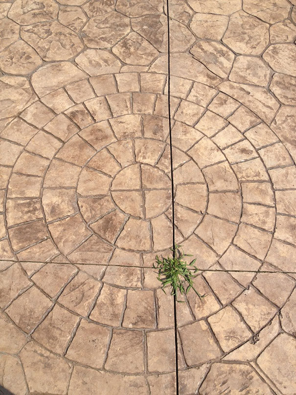 20 Gambar ini bakal bikin kamu geregetan karena kesalahan kecilnya! 20 Gambar ini bakal bikin kamu geregetan karena kesalahan kecilnya!