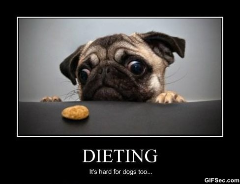 21 Meme tentang diet yang bikin kamu gagal kurus 21 Meme tentang diet yang bikin kamu gagal kurus