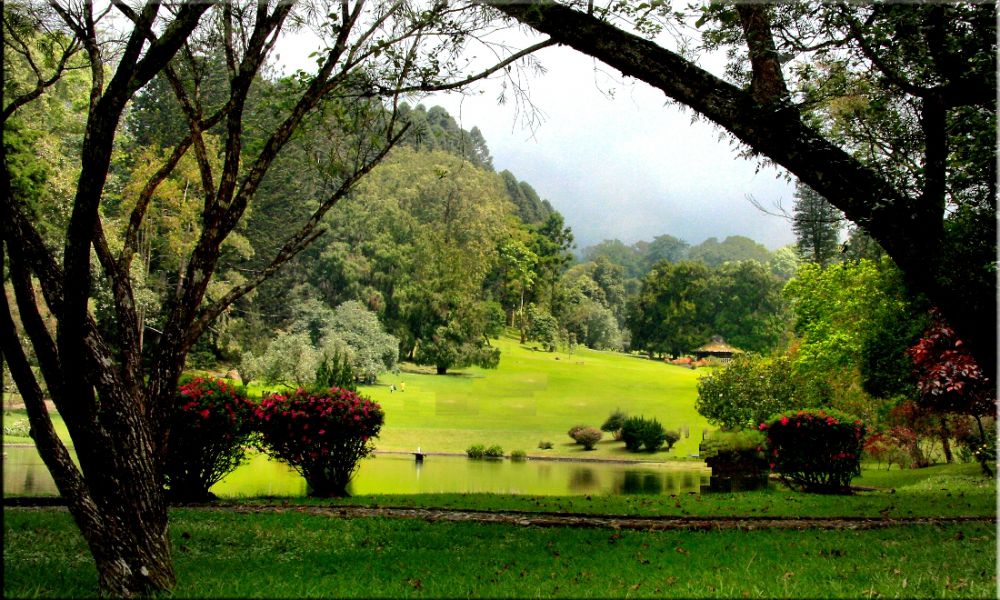Penatmu bakal sirna dengan mengunjungi 10 taman terbaik Indonesia ini