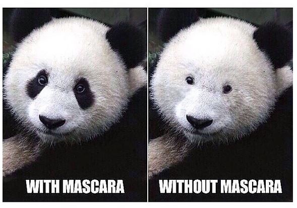 20 Perjuangan ini cuma dipahami cewek yang memiliki bulu mata ngehits