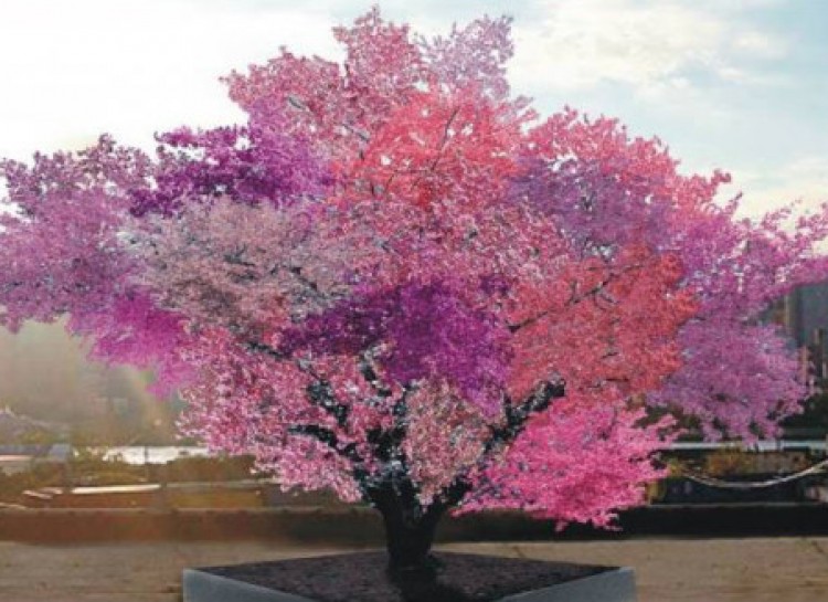 8 Alasan genting kamu wajib menanam pohon mulai detik ini juga