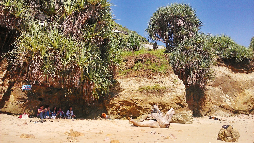 Sensasi snorkeling di pantai selatan nan berombak ganas, berani coba?