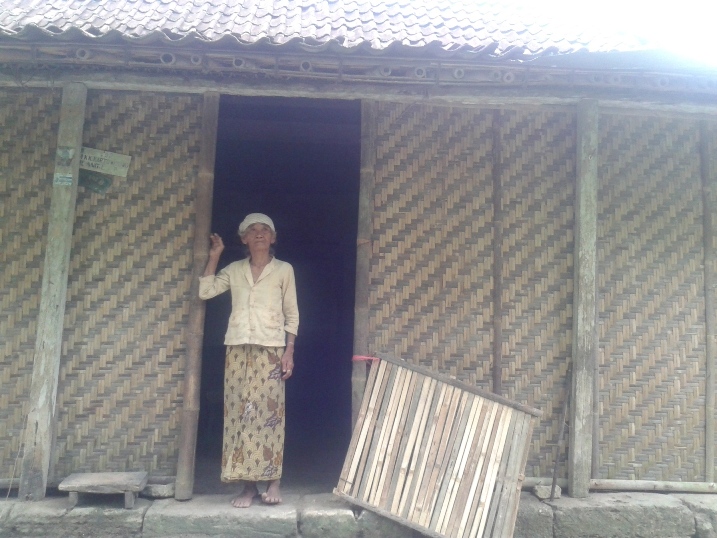 Nenek pemilik wisata Pulosari, hidup dari angon sapi milik tetangga