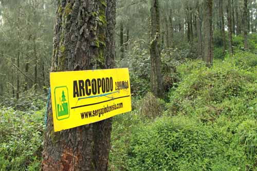 7 Lokasi paling populer di Gunung Semeru, pendaki pasti tahu! 7 Lokasi paling populer di Gunung Semeru, pendaki pasti tahu!