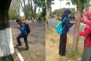 Peringati kemerdekaan, mahasiswa di daerah ini kumpulkan 4 kg paku