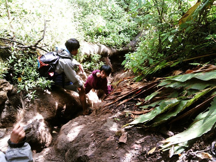 Arya, pendaki cilik, sudah taklukkan 10 gunung di usia 5 tahun!