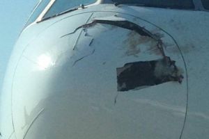 Menabrak burung, moncong pesawat Singapore Airlines retak & berlubang