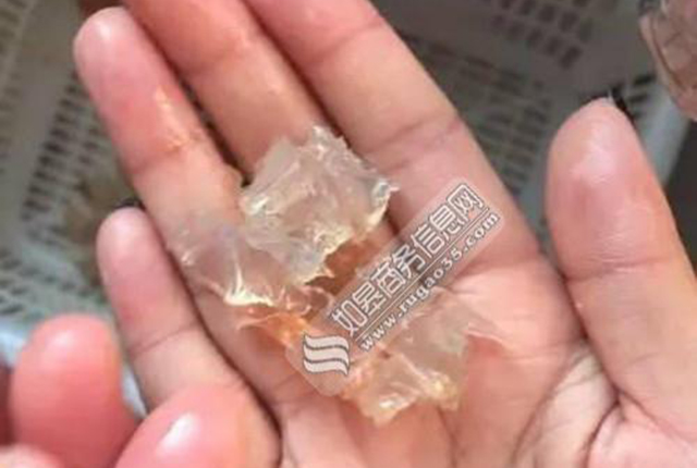 Geger, ada udang disuntik gelatin biar terlihat lebih gemuk Geger, ada udang disuntik gelatin biar terlihat lebih gemuk