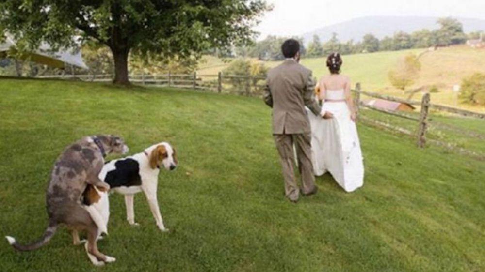 Deretan foto prewed gagal, nggak jadi romantis dah! Deretan foto prewed gagal, nggak jadi romantis dah!