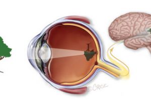 8 Anggota tubuh ini bisa jadi tolok ukur kesehatan kamu, perhatikan!