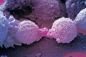 Brilio! Ilmuwan temukan cara mengubah sel kanker menjadi sel normal