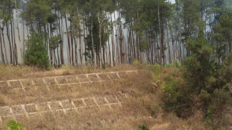 Setelah Merbabu, giliran hutan di Gunung Merapi terbakar