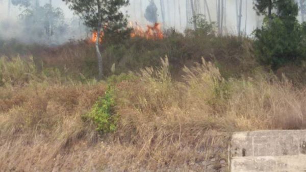 Setelah Merbabu, giliran hutan di Gunung Merapi terbakar