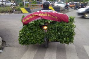 Ulah pengendara motor yang paling menjengkelkan pengguna jalan lain