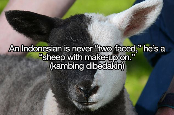 Cuma orang Indonesia yang tahu 19 istilah ini, bule pasti gagal paham