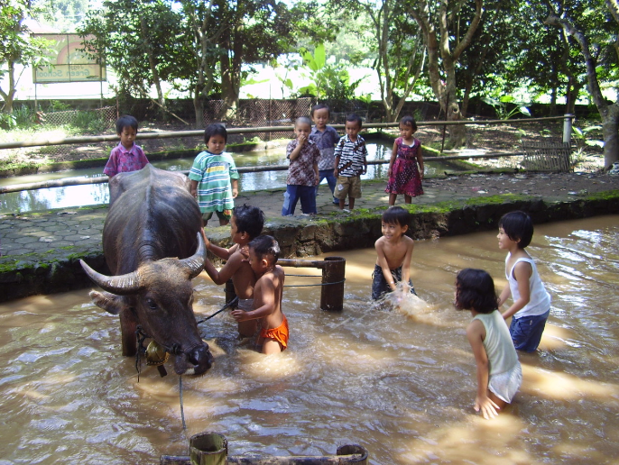 Hal-hal ini hanya bisa dinikmati anak-anak di sekolah alam