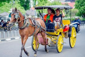 7 Angkutan tradisional Indonesia yang perlu kamu tahu