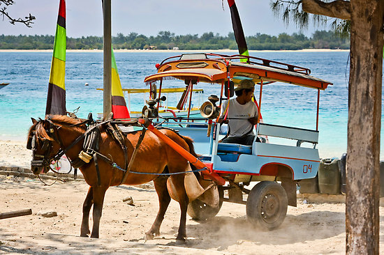 7 Angkutan tradisional Indonesia yang perlu kamu tahu 7 Angkutan tradisional Indonesia yang perlu kamu tahu