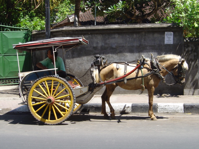 7 Angkutan tradisional Indonesia yang perlu kamu tahu 7 Angkutan tradisional Indonesia yang perlu kamu tahu