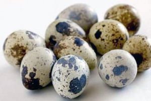 5 Makanan ini sering tersaji, tapi hati-hati kolesterol tinggi! 