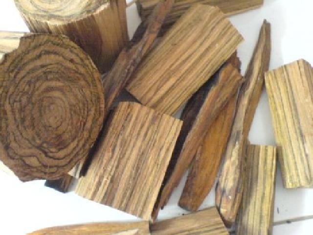 5 Tanaman asli Indonesia yang jadi buruan bangsa asing sejak dulu 5 Tanaman asli Indonesia yang jadi buruan bangsa asing sejak dulu