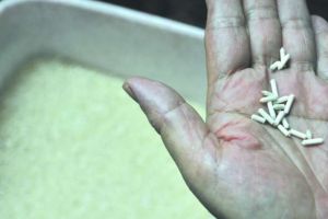 Lagi, muncul beras palsu diduga dari kertas resahkan warga