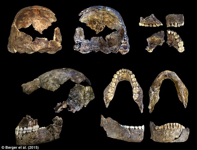 Temuan fosil gegerkan arkeolog, diduga manusia pertama di dunia