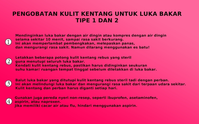 Kulit kentang direkomendasikan dokter dunia untuk atasi luka bakar