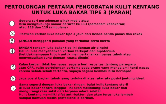 Kulit kentang direkomendasikan dokter dunia untuk atasi luka bakar