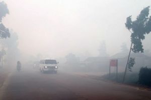 Asap di mana-mana, udara Sumatera berbahaya untuk manusia
