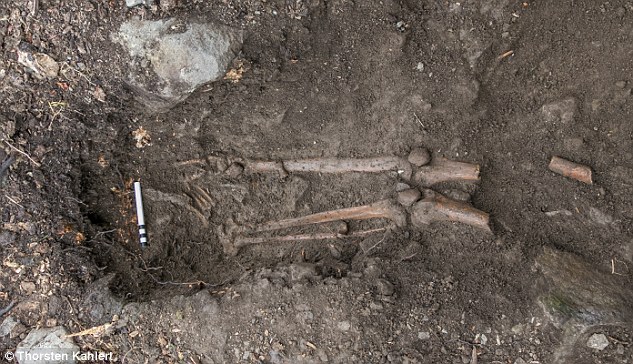 Terkubur 900 tahun di bawah pohon, tulang manusia masih utuh