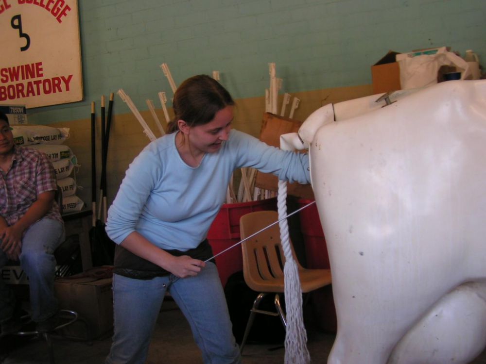 10 Pekerjaan ini katanya paling menjijikkan sedunia, berani coba?