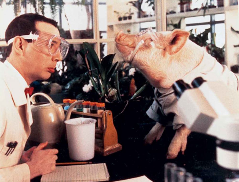 10 Pekerjaan ini katanya paling menjijikkan sedunia, berani coba?