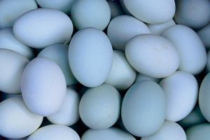 Tak cuma asin bikin ketagihan, telur bebek bermanfaat buat kecantikan