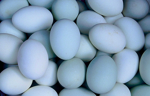 Tak cuma asin bikin ketagihan, telur bebek bermanfaat buat kecantikan