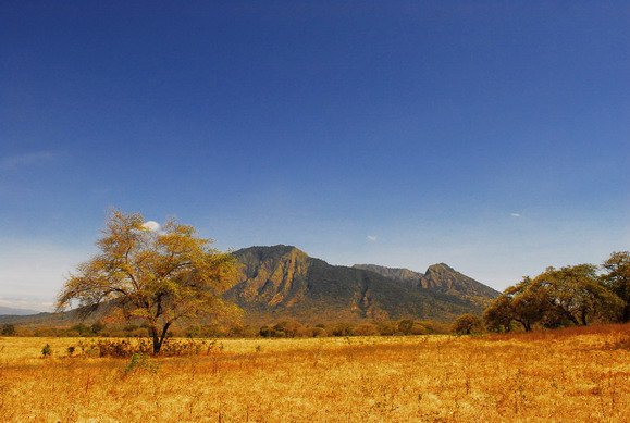 Destinasi wisata Banyuwangi kalahkan Bali! 8 Hal ini buktinya! Destinasi wisata Banyuwangi kalahkan Bali! 8 Hal ini buktinya!