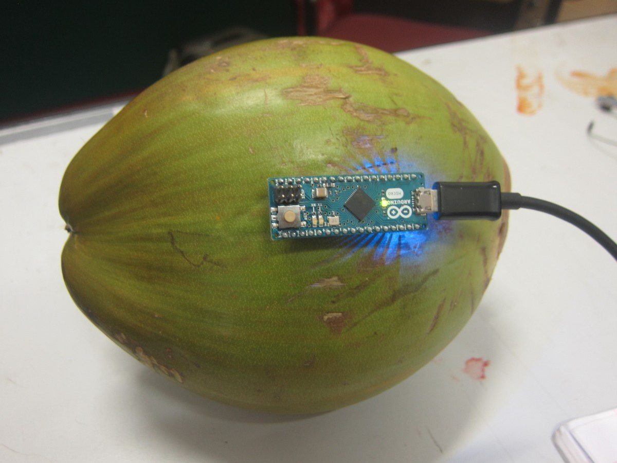 Tak terbayangkan, kelapa bisa dilengkapi GPS pelacak pencemaran sungai
