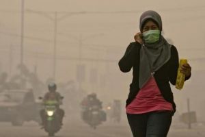 5 Dampak kebakaran hutan dan kabut asap yang berkepanjangan