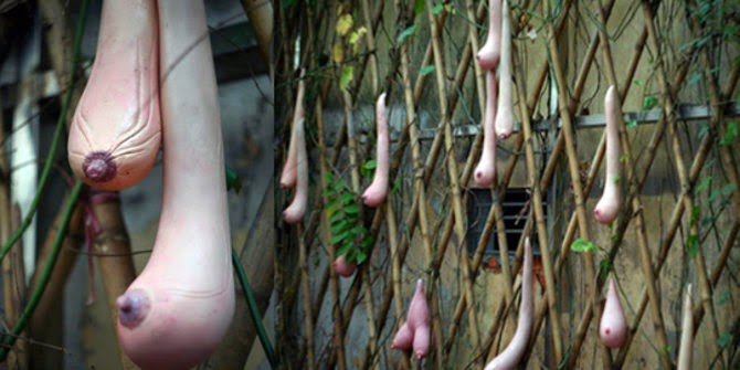 20 Buah dan sayuran ini kok bentuknya gini ya? Bikin gagal paham deh 20 Buah dan sayuran ini kok bentuknya gini ya? Bikin gagal paham deh