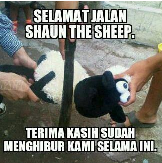 17 Meme kocak curhatan kambing jelang hari eksekusi