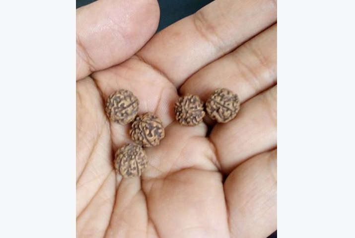 Demi mencari rempah pala, bocah ini nekat keluyuran dan China