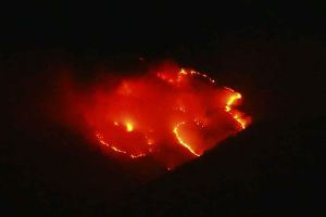 Hutan di Gunung Sindoro terbakar hebat