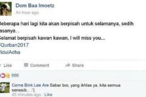 21 Meme pesan-pesan terakhir kambing dan sapi sebelum dieksekusi 